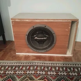 Pioneer bocka uselitel