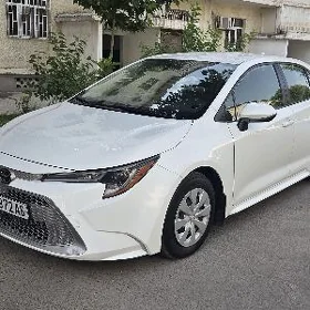 Toyota Corolla 2020