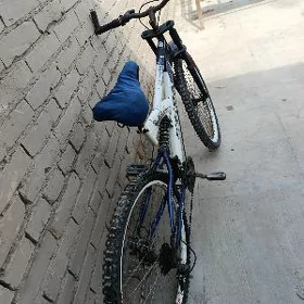 Spartiwny 26 lyk