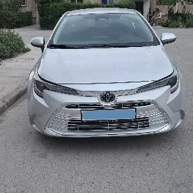 Toyota Corolla 2024