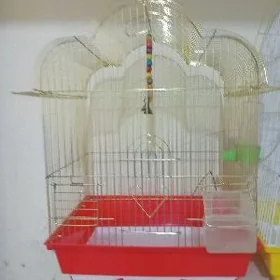 клетка kletka
