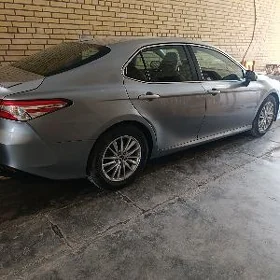 Toyota Camry 2019