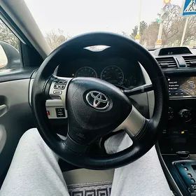 Carolla  rul