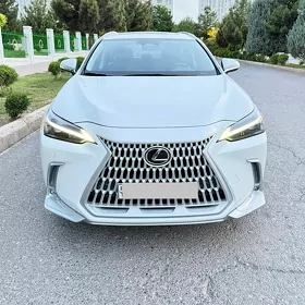 Lexus NX 250 2024