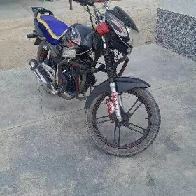 Fekon FK150-8G 2026