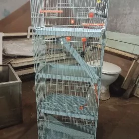 клетка для птиц