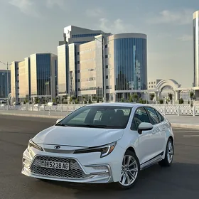 Toyota Corolla 2024