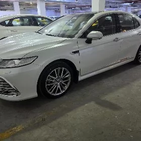 Toyota Camry 2024