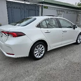 Toyota Corolla 2020