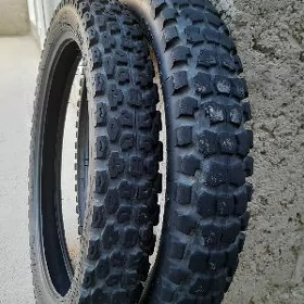 Ayak