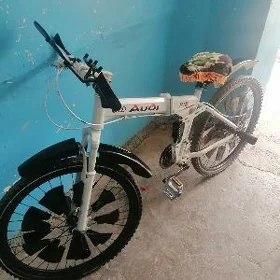 Tigir Audi ak