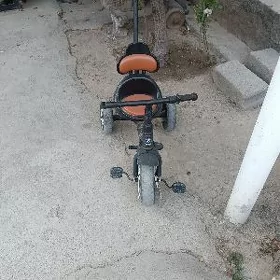 tigir zapcas