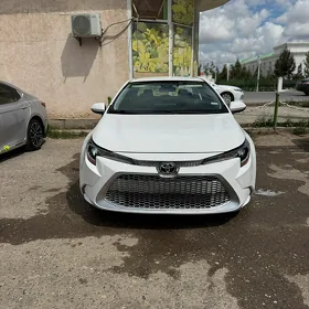 Toyota Corolla 2020