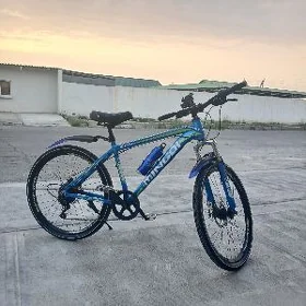 tigir