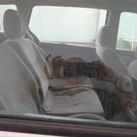 Toyota Sienna 2006