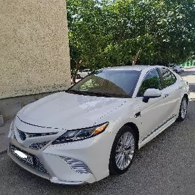 Toyota Camry 2020