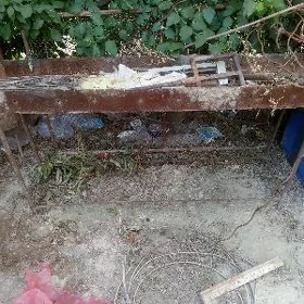 mangal