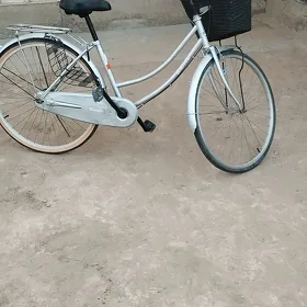 Welsoped 26 lyk