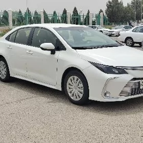 Toyota Corolla 2020