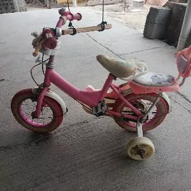 çaga tigir