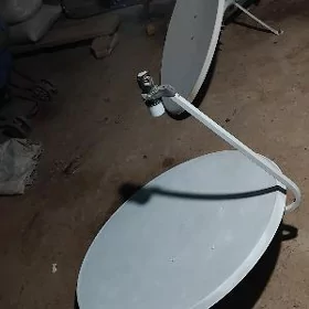 Kici.antenlar