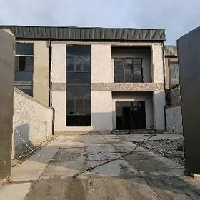 çogalny