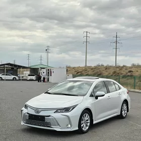 Toyota Corolla 2024