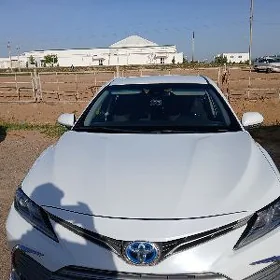 Toyota Camry 2020