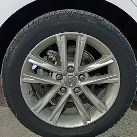 Dysga pakrysga