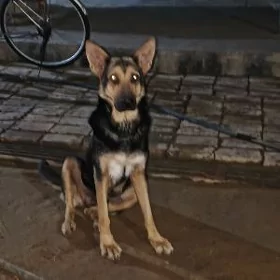 awçarka