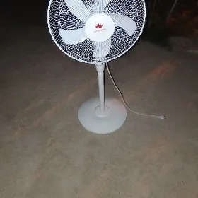 wentielyator