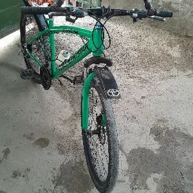 Turkmenistan tigir