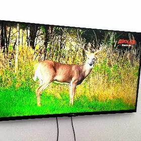 43 телевизор telewizor tv тв