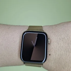 APPLE WATCH 5/44 SS