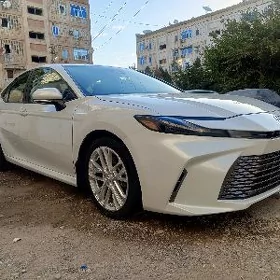 Toyota Camry 2024