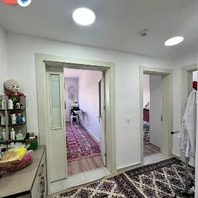 taze mir8