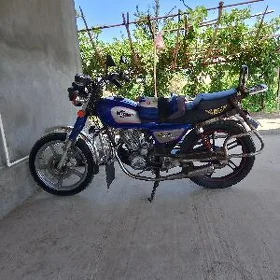 Fekon FK150-8G 2013