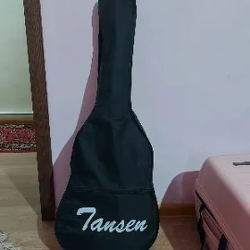 gitara acoustic taze
