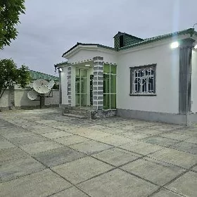Тазе заман 1 тапгыр