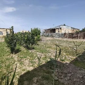 сатлык дача 5стsatlyk daça 5s