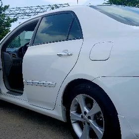 setka corolla