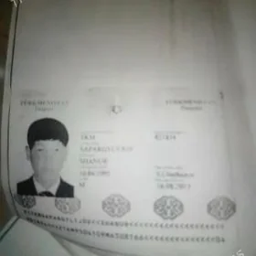 paspurt yitirdip