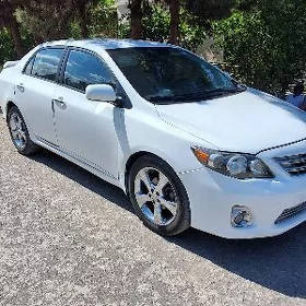 Toyota Corolla 2010