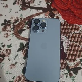 13pro