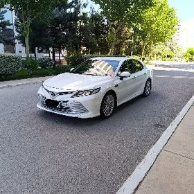 Toyota Camry 2019
