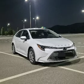 Toyota Corolla 2022