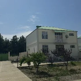 Gökdepe eñkewede kottež jaý