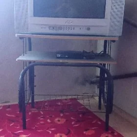 Televizor satylyar janlasyn