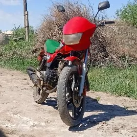 Fekon FK150-8G 2014