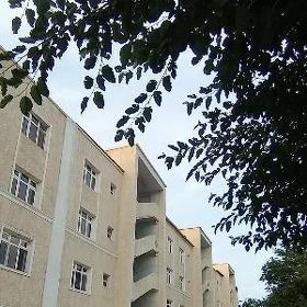 Центр Болгарка 3х Комнатная